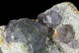 Purple Fluorite Crystals on Quartz - Fluorescent! #142385-2
